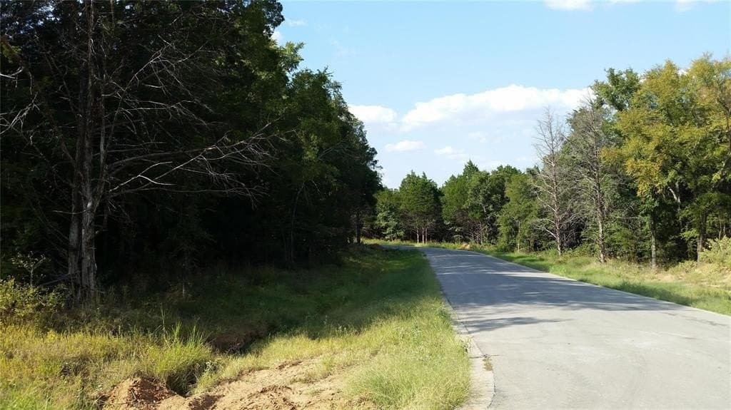 0.17 acres in Grayson County - photo 3
