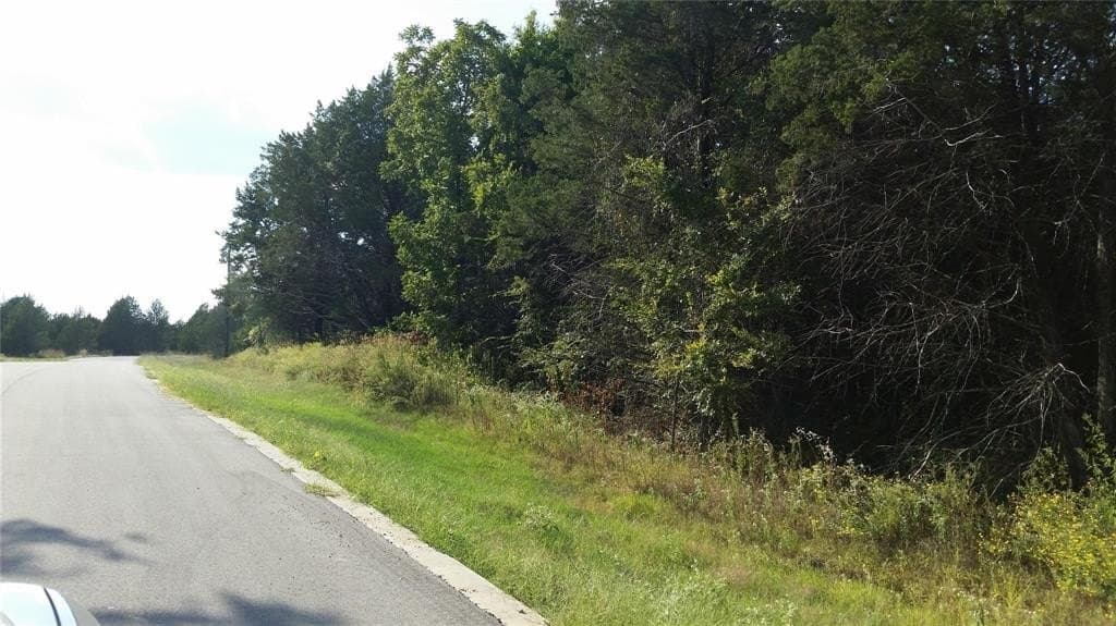 0.17 acres in Grayson County - photo 2