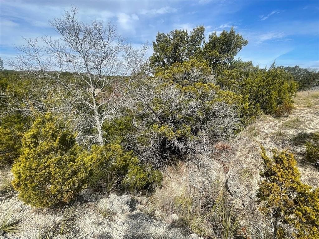 10.02 acres in Lampasas County - photo 6