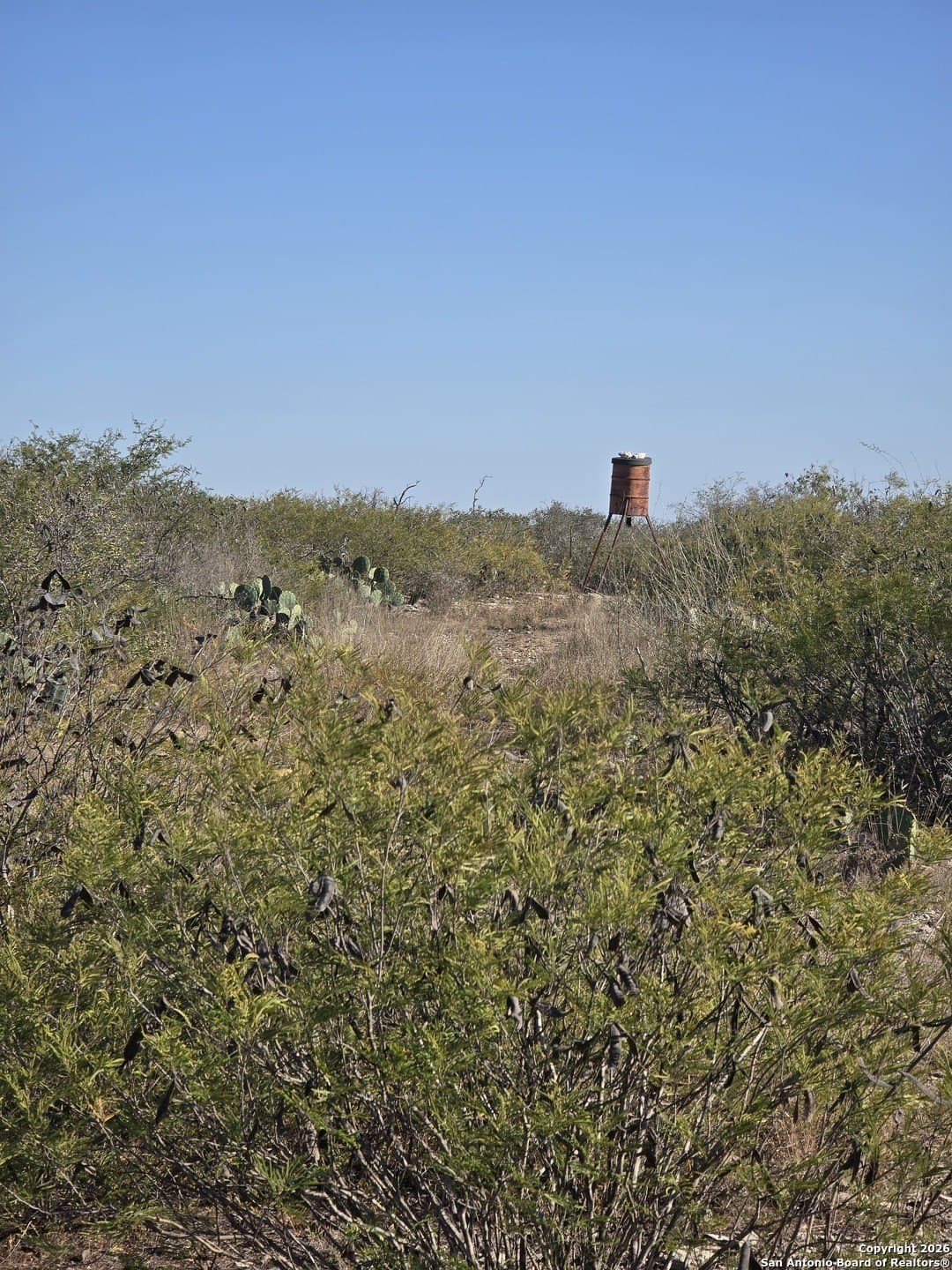 20.24 acres in Uvalde County - photo 5
