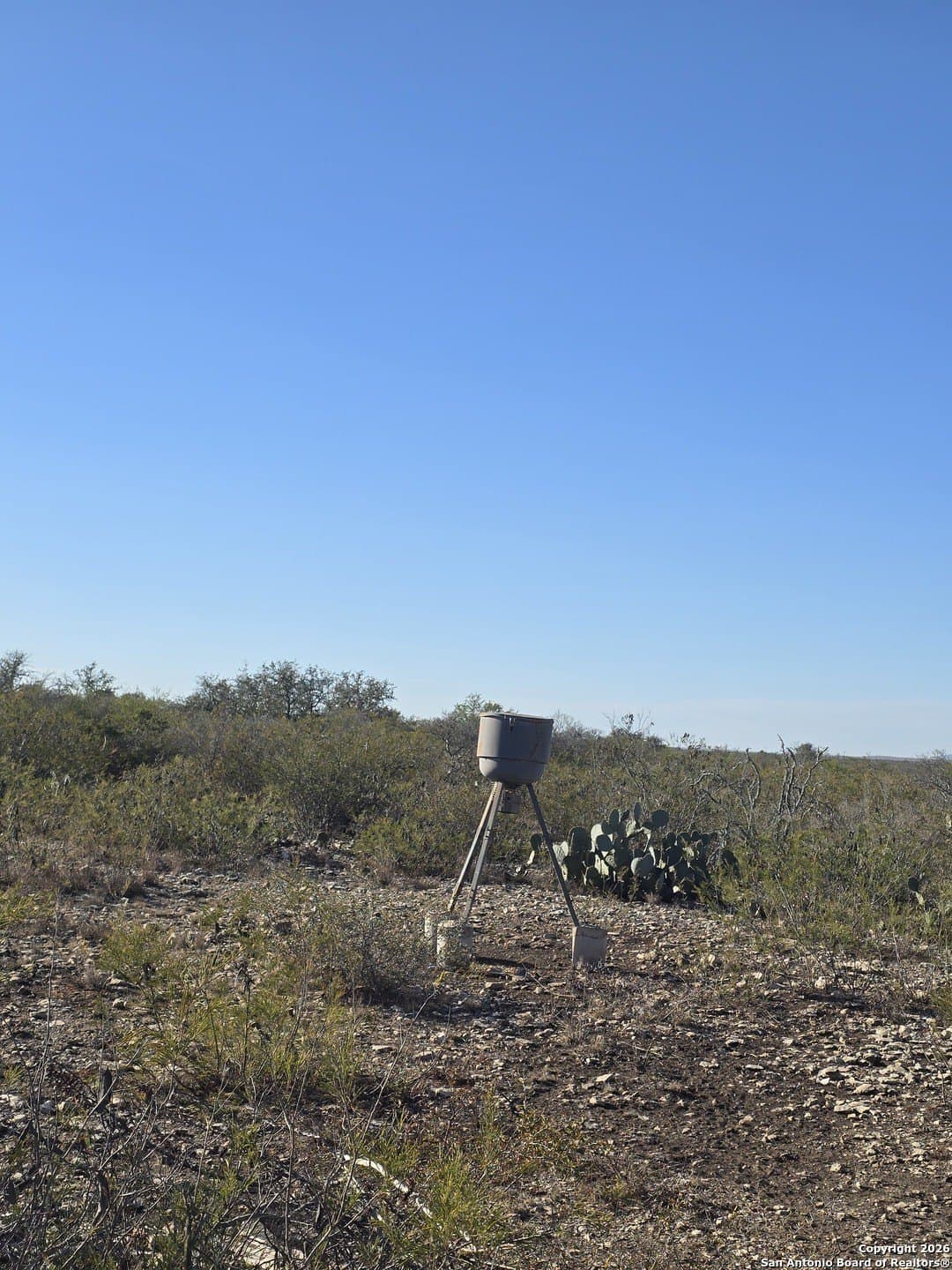 20.24 acres in Uvalde County - photo 6