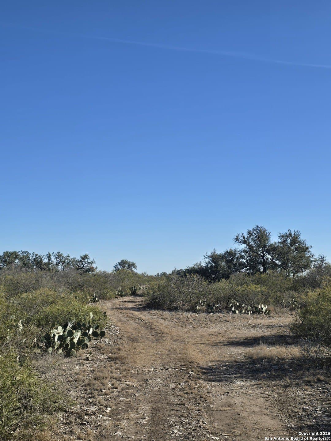 20.24 acres in Uvalde County - photo 2