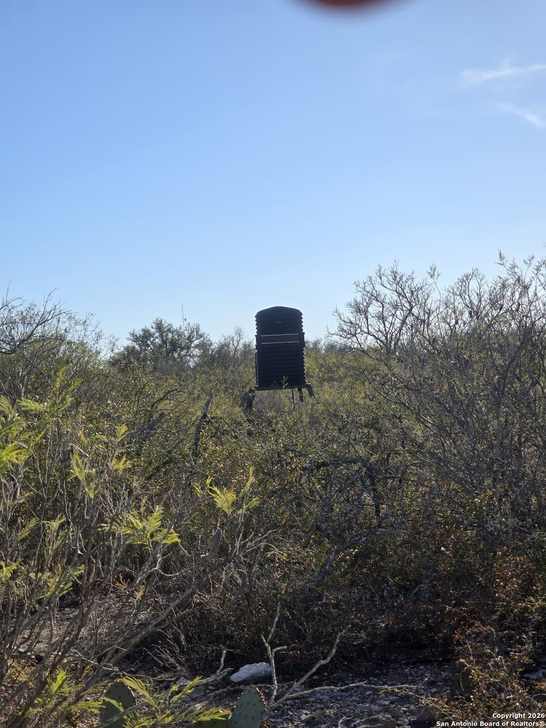 20.24 acres in Uvalde County - photo 7
