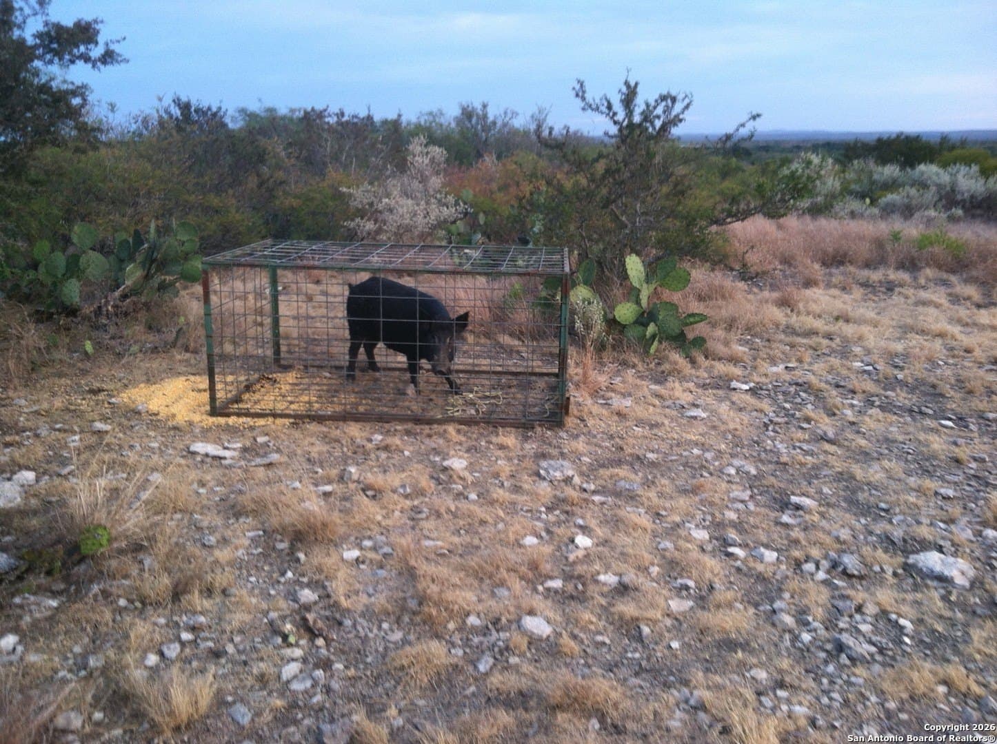 20.24 acres in Uvalde County - photo 10