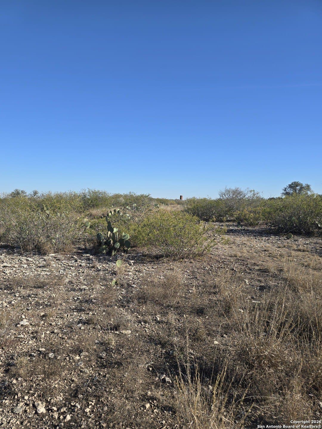 20.24 acres in Uvalde County - photo 4