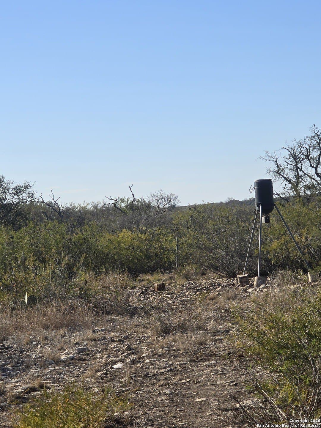 20.24 acres in Uvalde County - photo 8