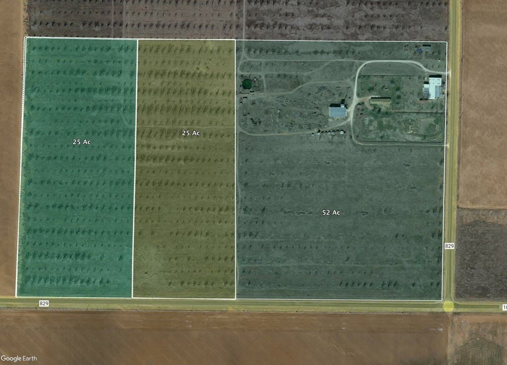 52 acres in Dawson County - photo 2