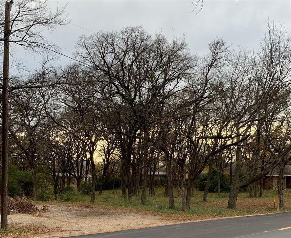 0.5 acres in Tarrant County - photo 2