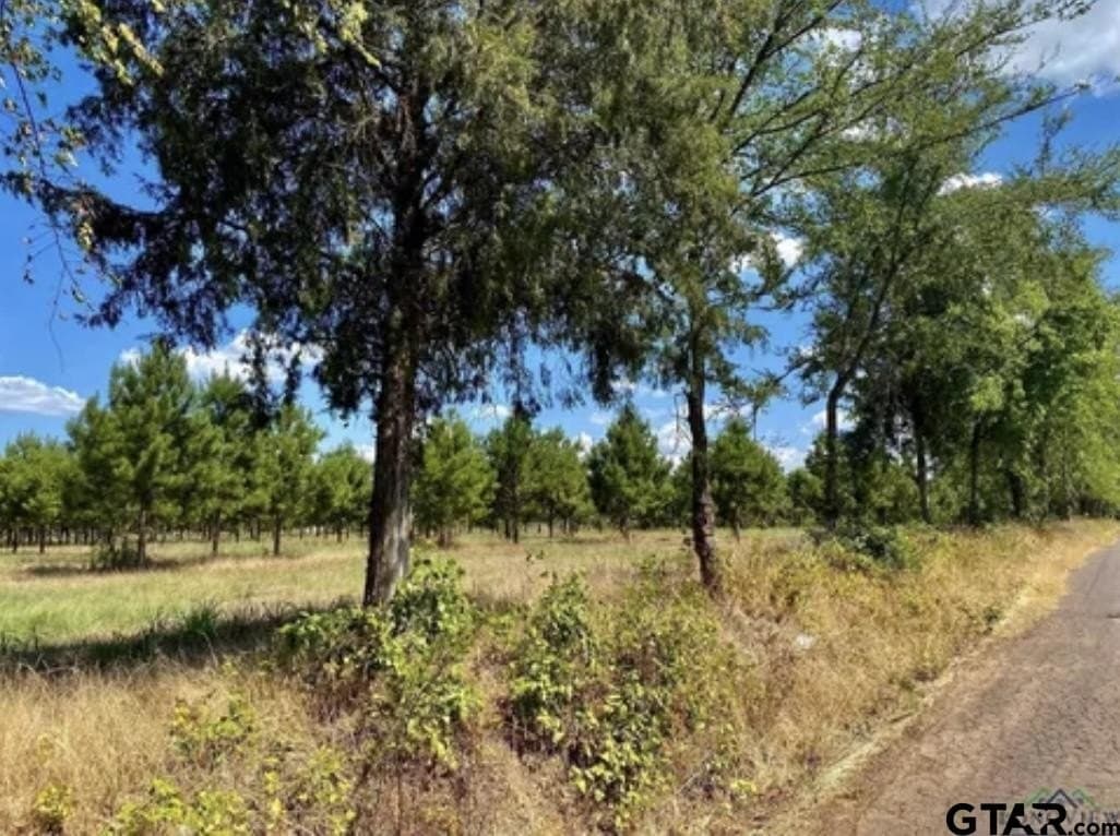 46.09 acres in Upshur County - photo 12