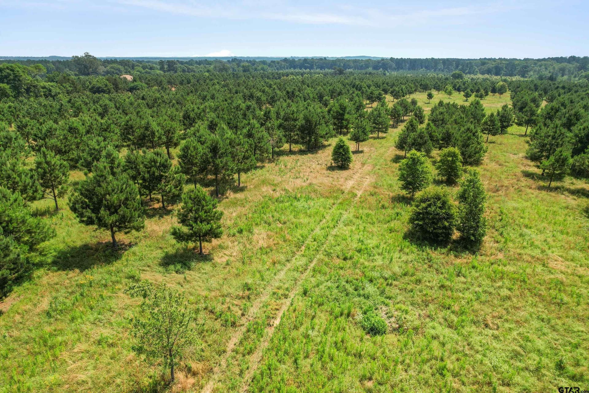 46.09 acres in Upshur County - photo 23