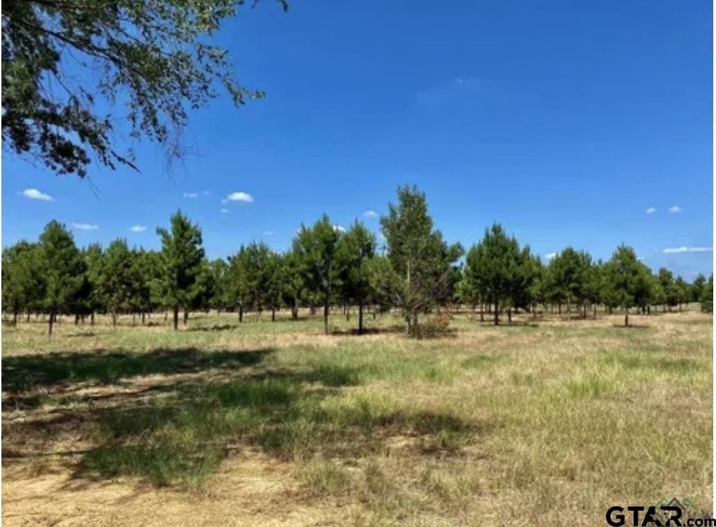 46.09 acres in Upshur County - photo 15