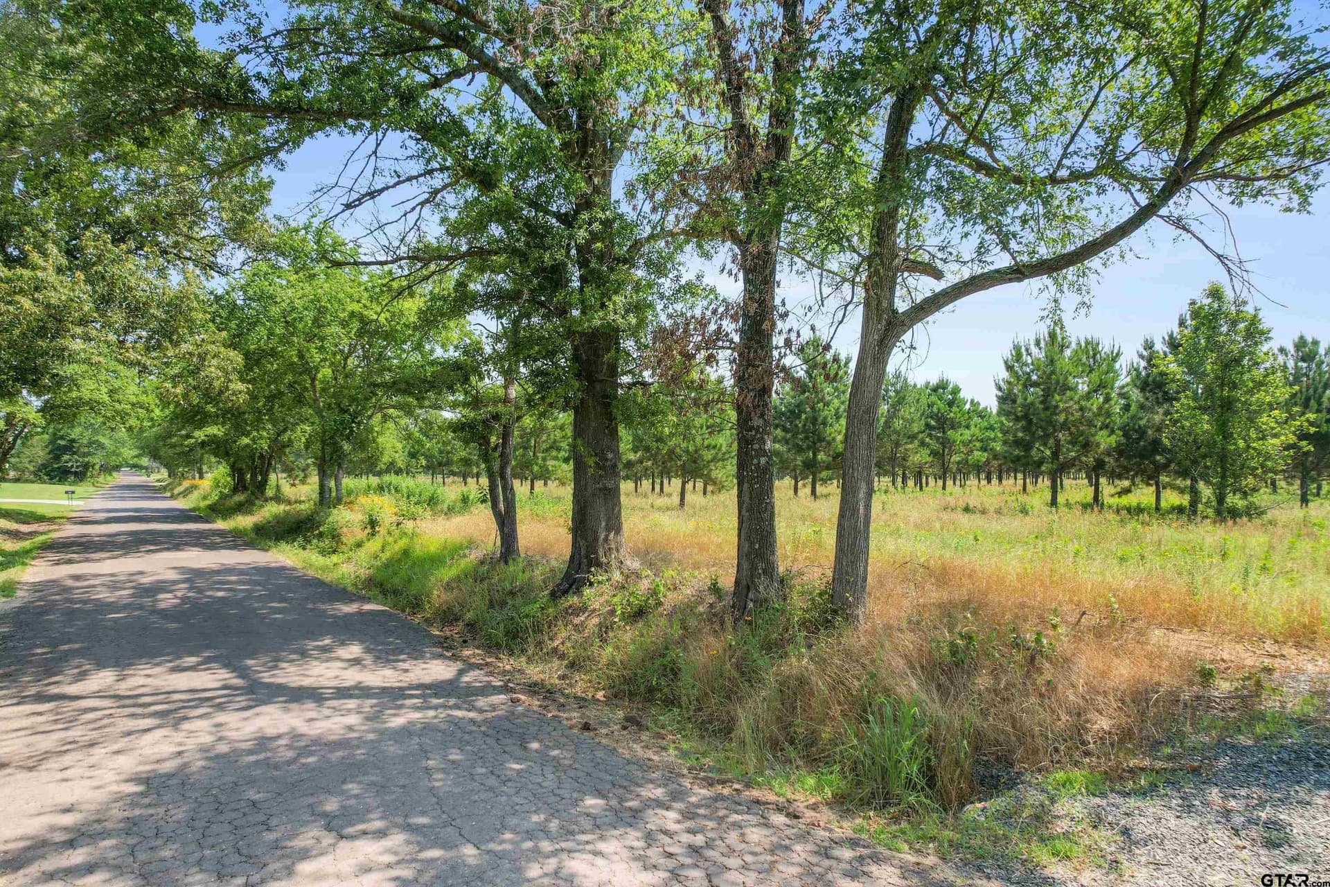 46.09 acres in Upshur County - photo 26