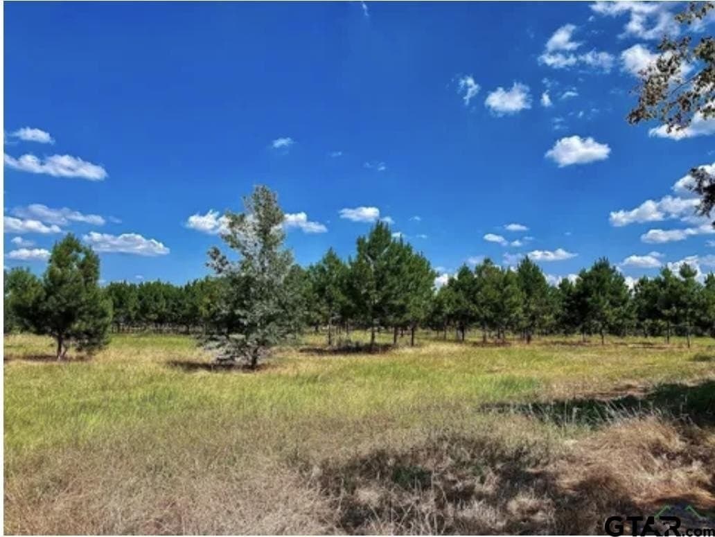 46.09 acres in Upshur County - photo 16