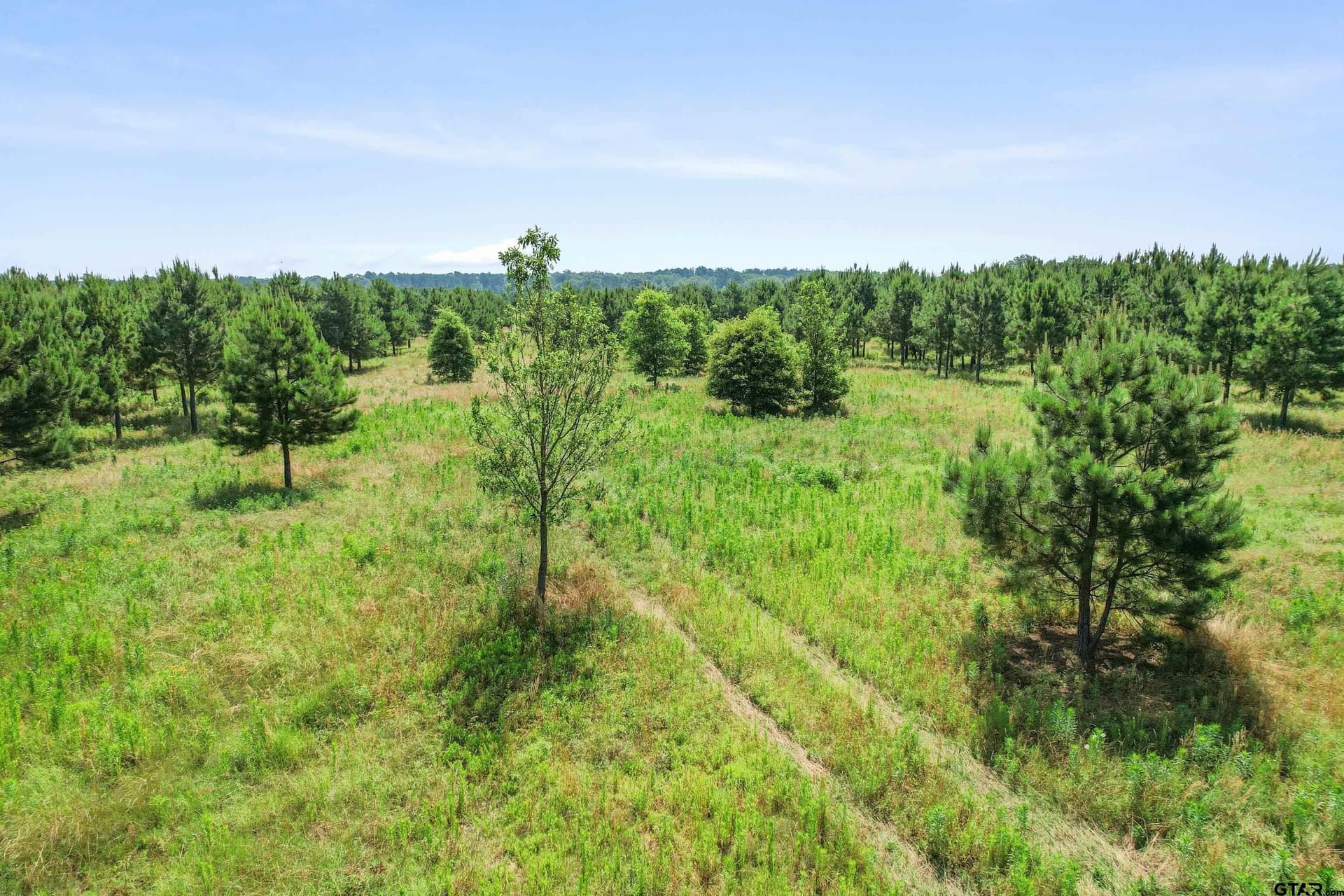 46.09 acres in Upshur County - photo 22