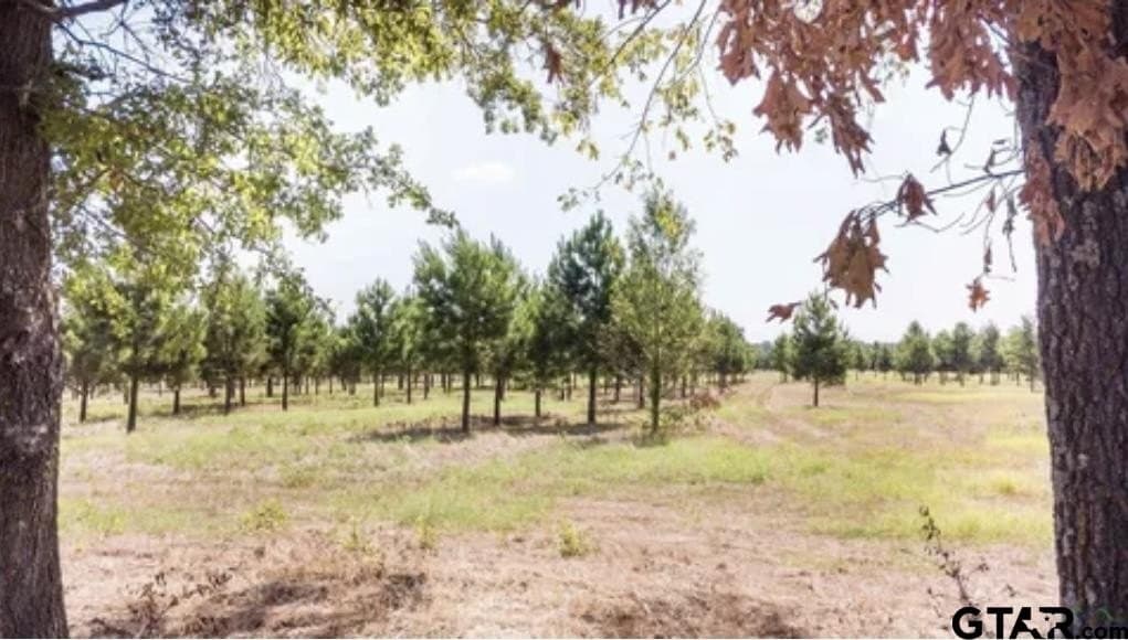 46.09 acres in Upshur County - photo 7