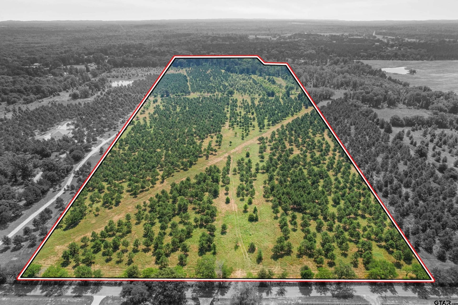 46.09 acres in Upshur County - photo 19