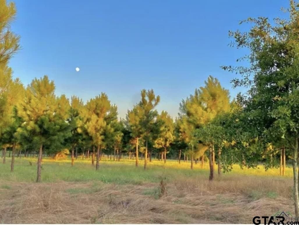 46.09 acres in Upshur County - photo 6