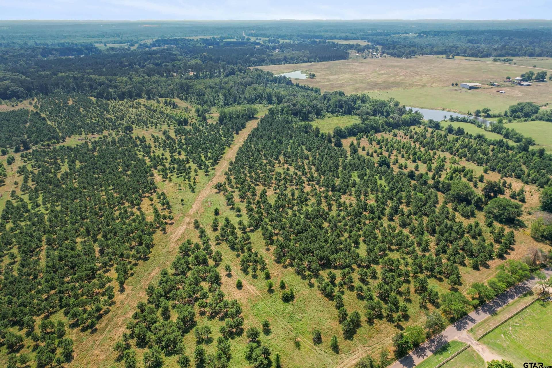 46.09 acres in Upshur County - photo 21