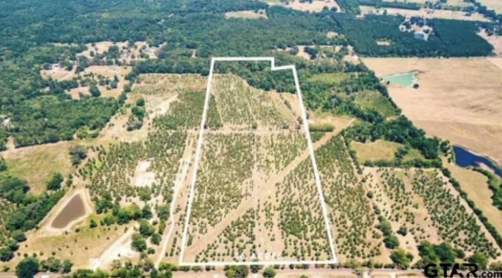 46.09 acres in Upshur County - photo 5