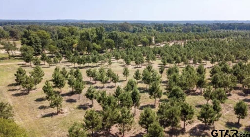 46.09 acres in Upshur County - photo 3