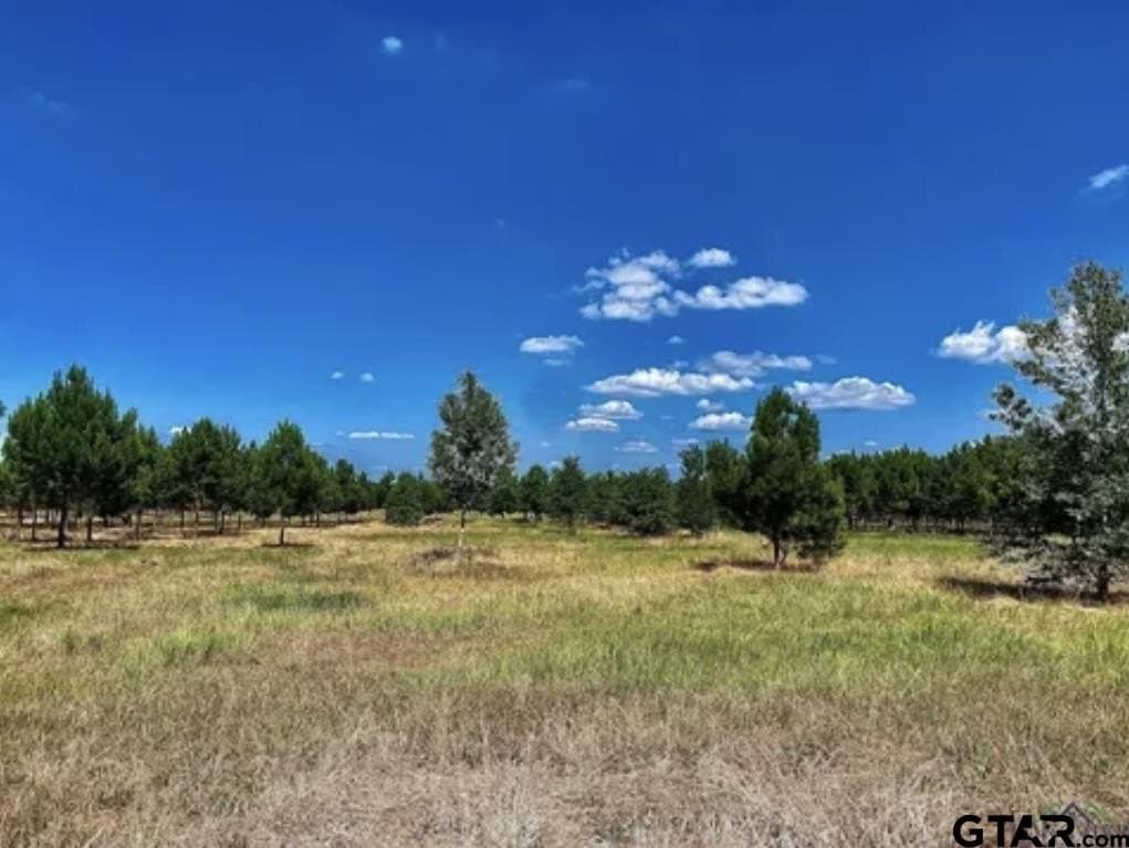 46.09 acres in Upshur County - photo 14