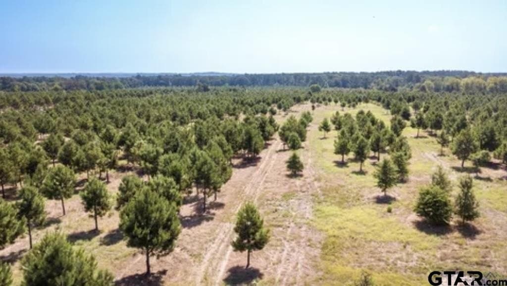 46.09 acres in Upshur County - photo 2