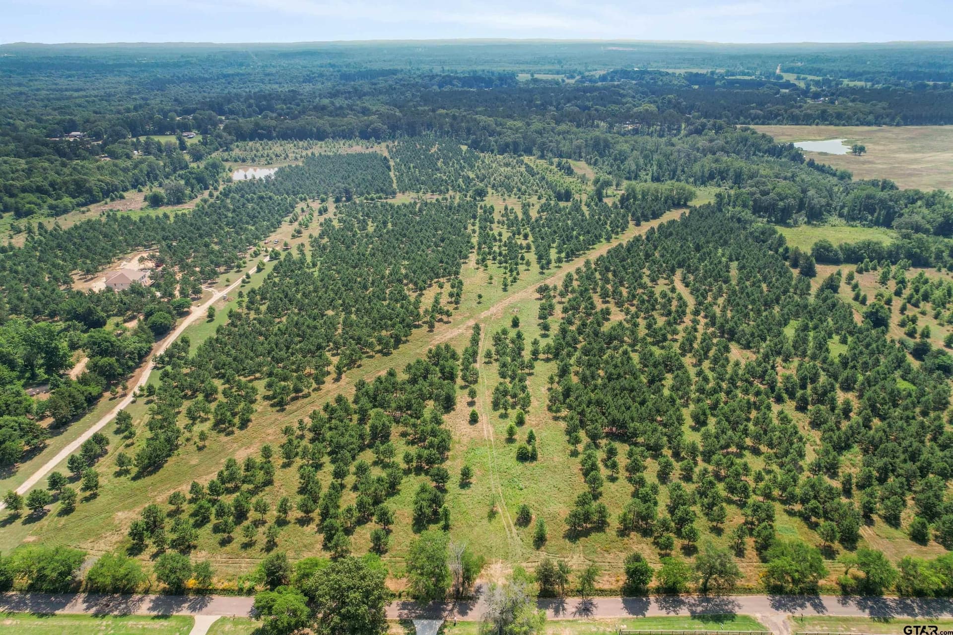 46.09 acres in Upshur County - photo 20
