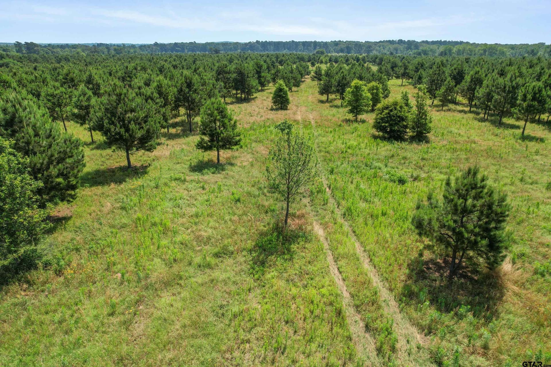 46.09 acres in Upshur County - photo 4