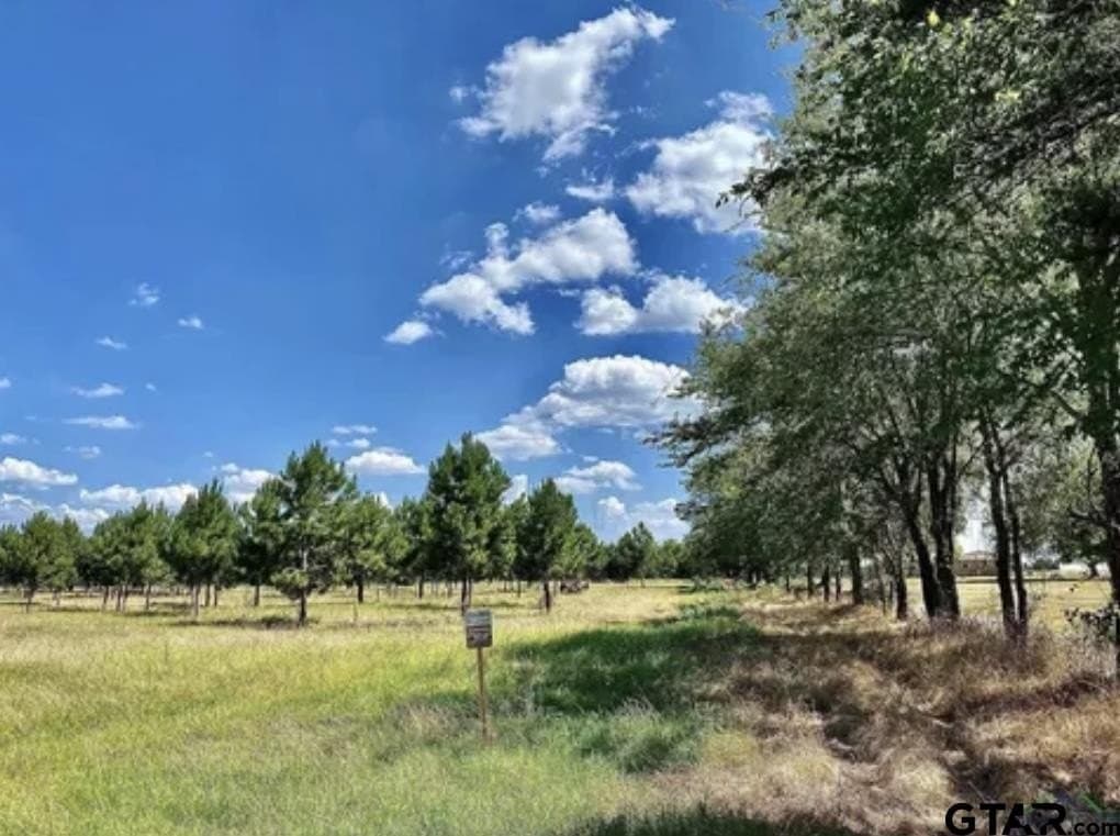 46.09 acres in Upshur County - photo 9