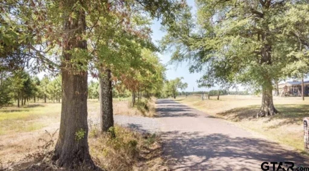 46.09 acres in Upshur County - photo 8