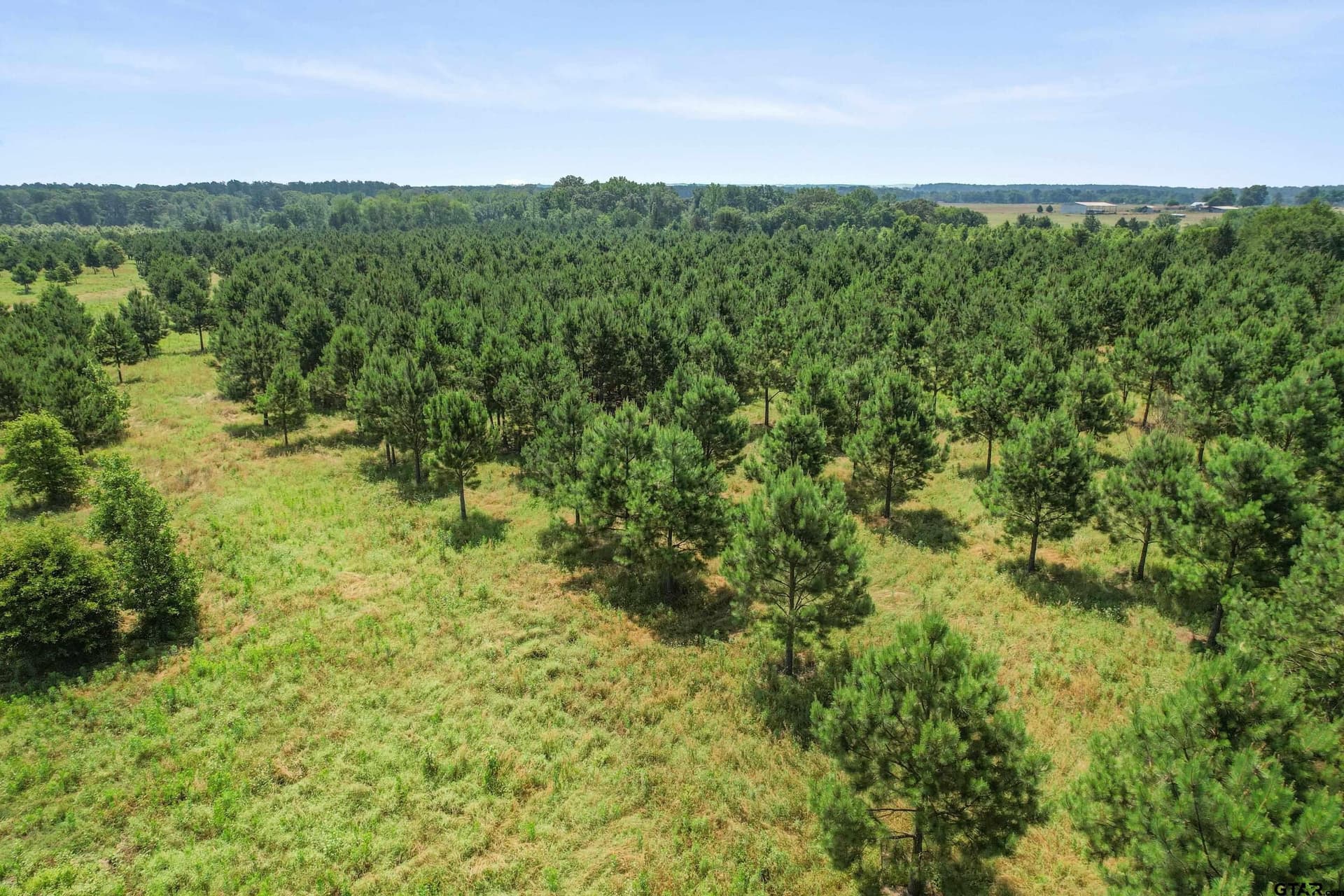 46.09 acres in Upshur County - photo 24