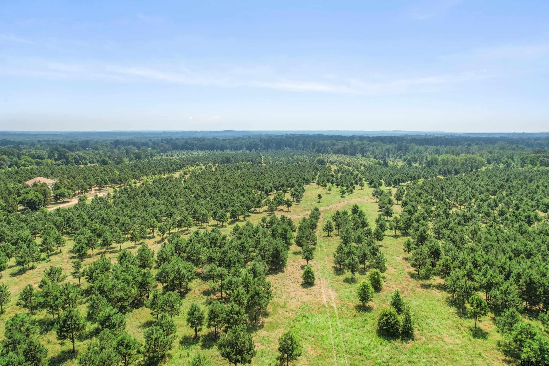 46.09 acres in Upshur County - photo 17