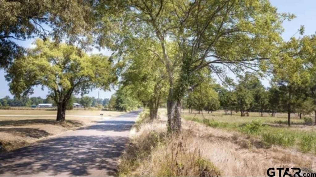 46.09 acres in Upshur County - photo 10