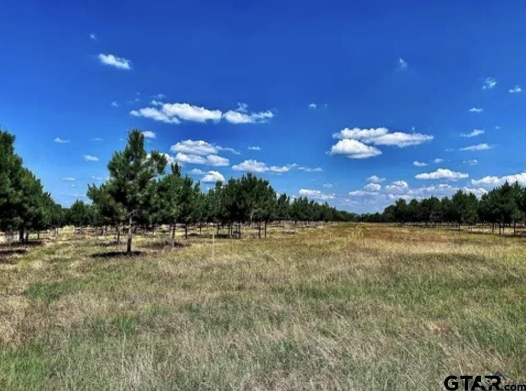 46.09 acres in Upshur County - photo 11
