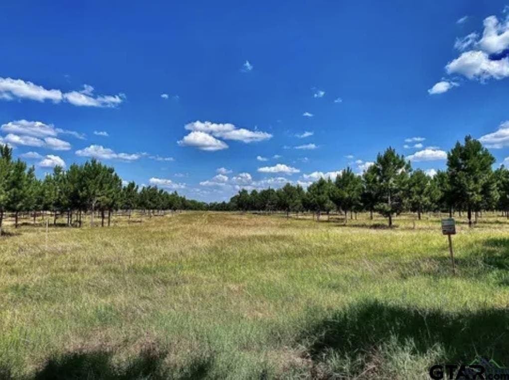 46.09 acres in Upshur County - photo 13