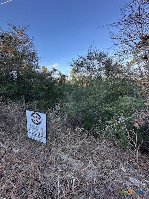 0.2 acres in Bastrop County - photo 5