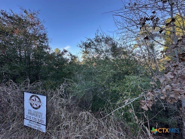 0.2 acres in Bastrop County - photo 3