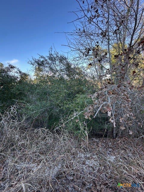 0.2 acres in Bastrop County - photo 4