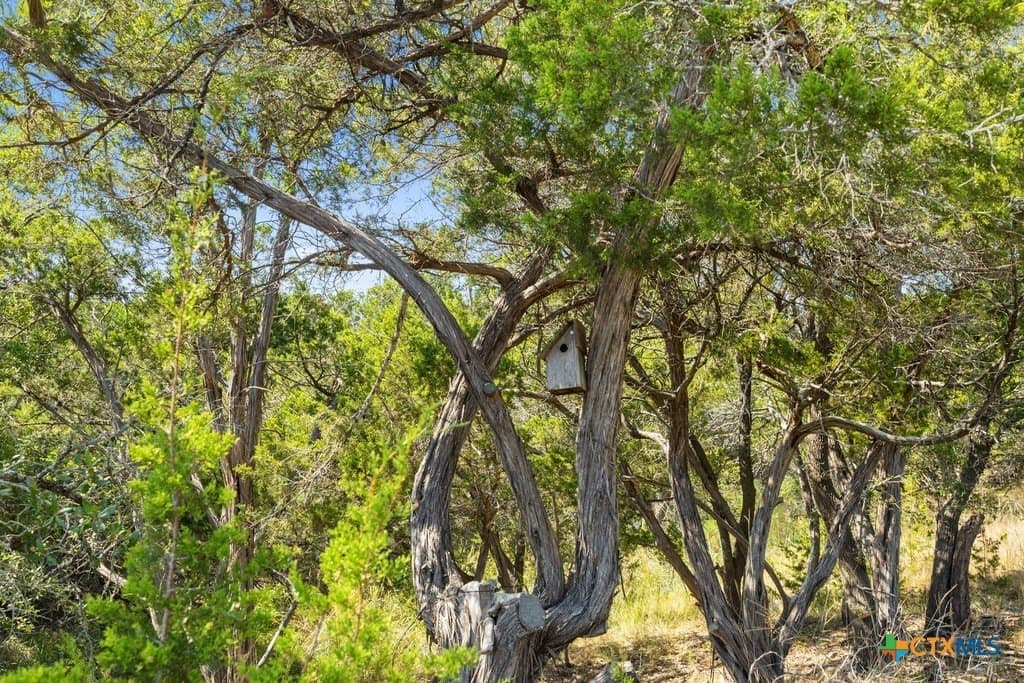 11.74 acres in Blanco County - photo 3