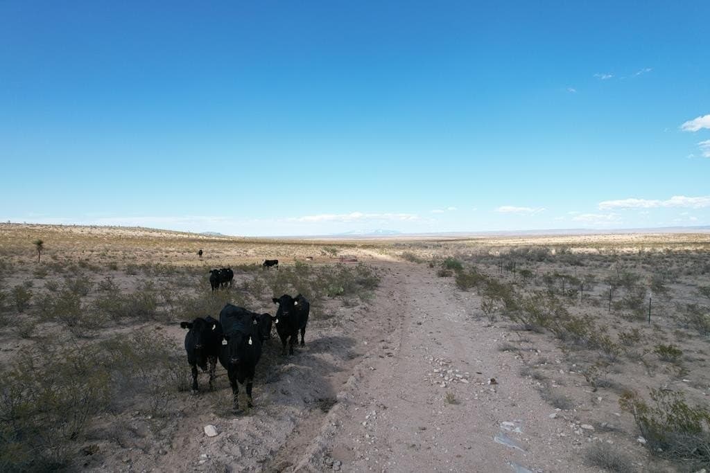 20.01 acres in Hudspeth County - photo 2