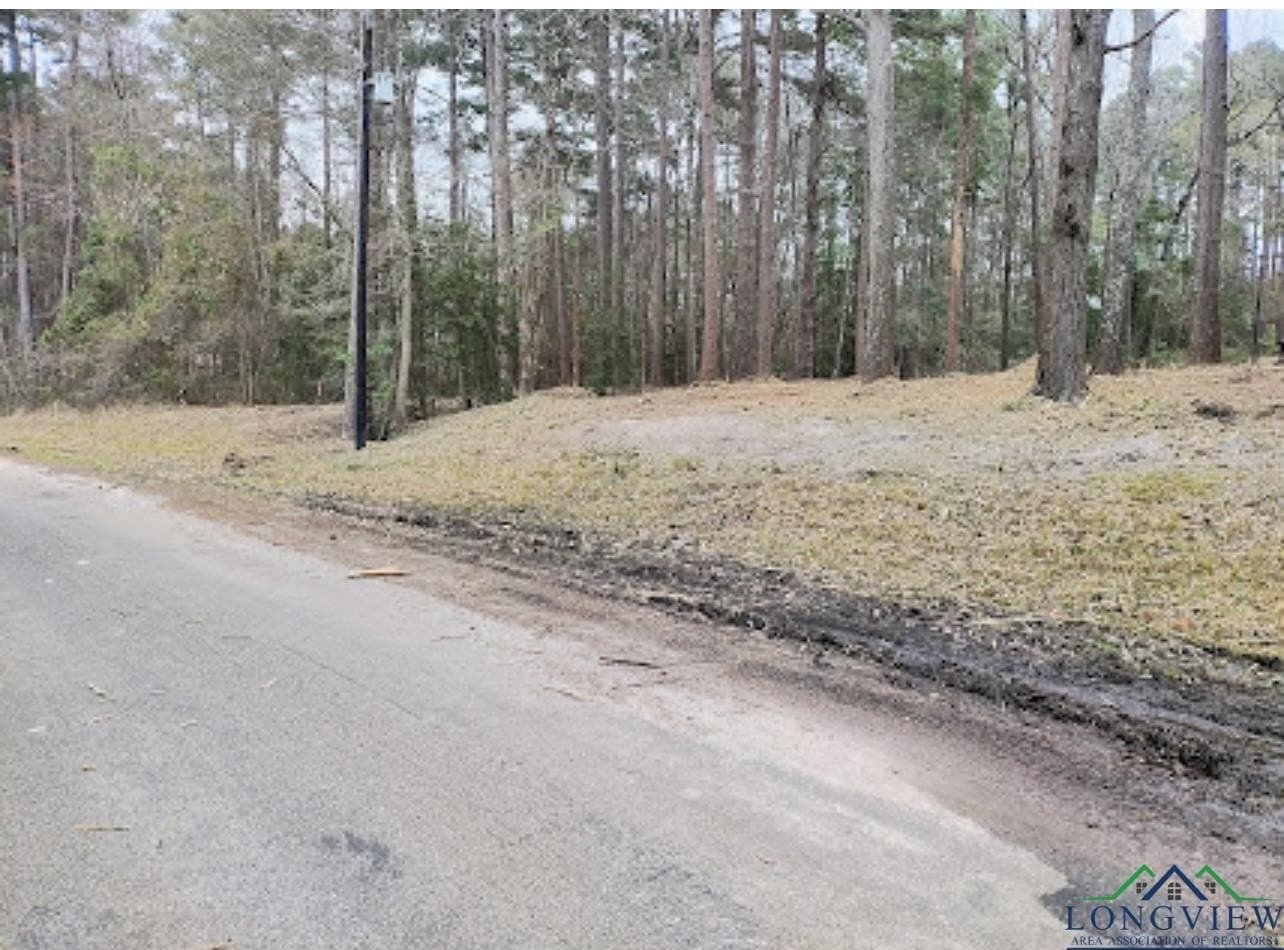 0.28 acres in Harrison County - photo 2