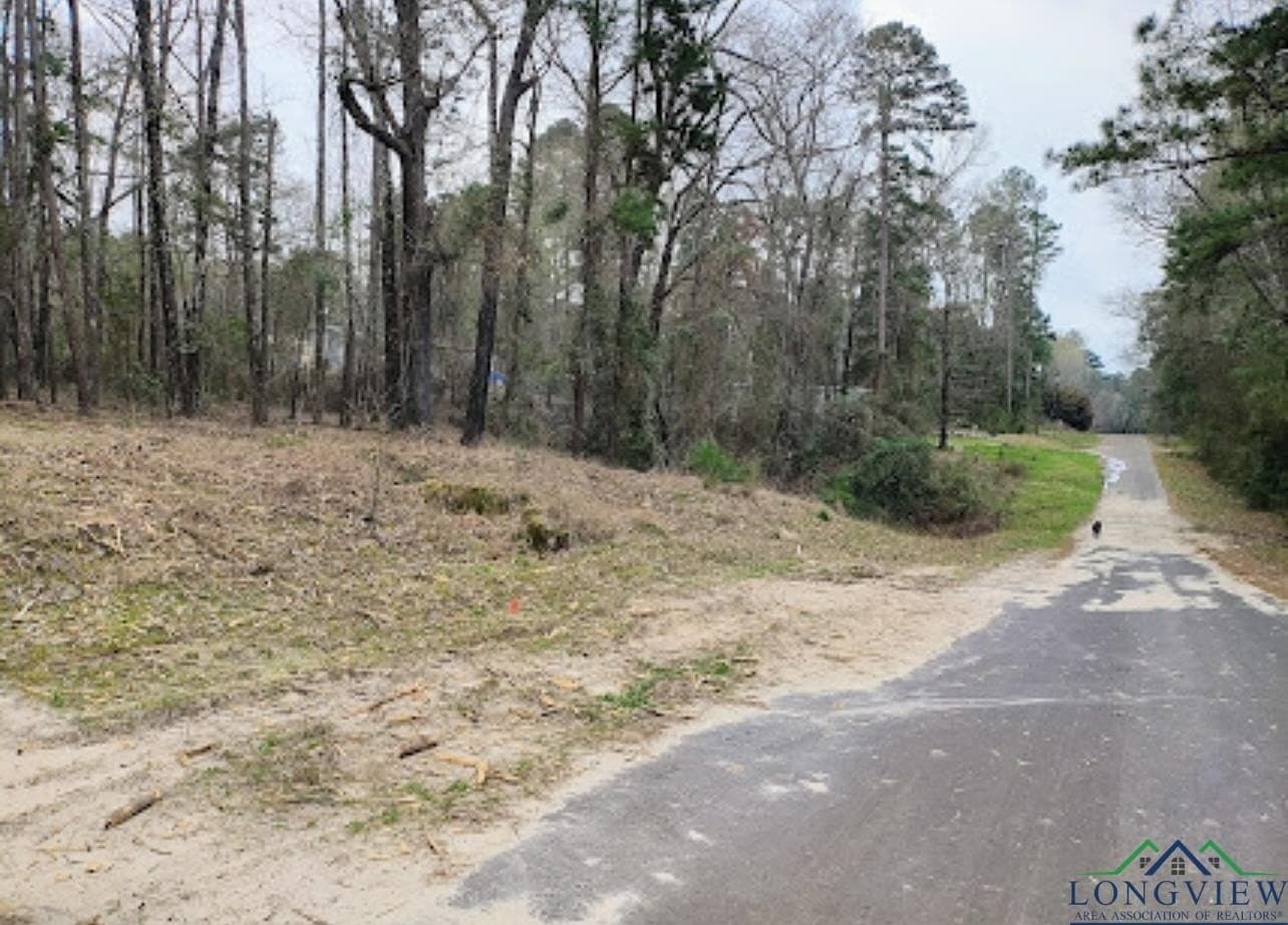 0.28 acres in Harrison County - photo 5