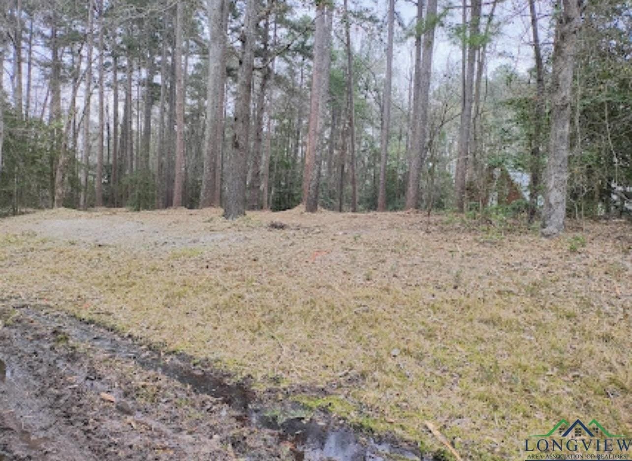 0.28 acres in Harrison County - photo 3