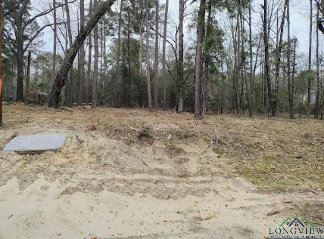 0.28 acres in Harrison County - photo 6