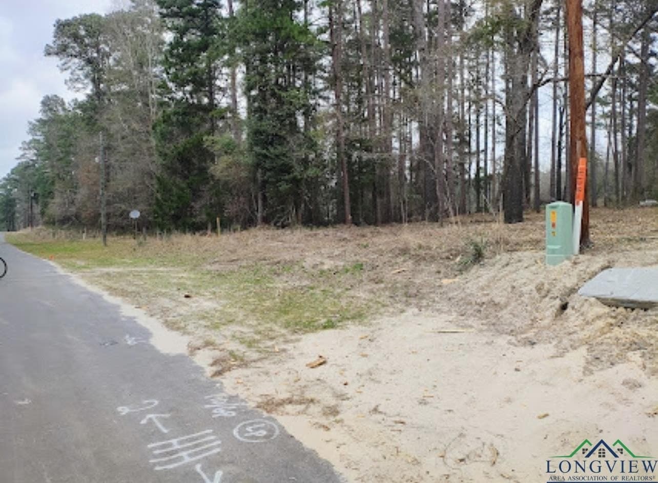 0.28 acres in Harrison County - photo 4
