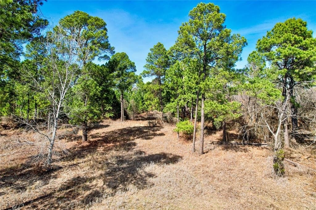 5.01 acres in Hood County - photo 11