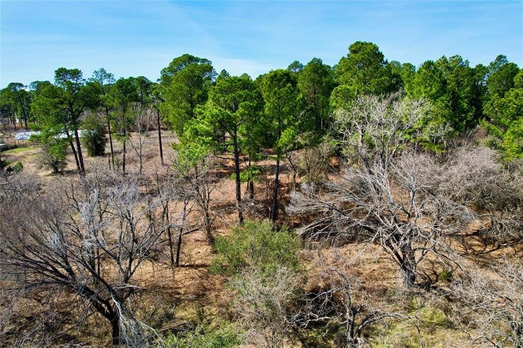 5.01 acres in Hood County - photo 4
