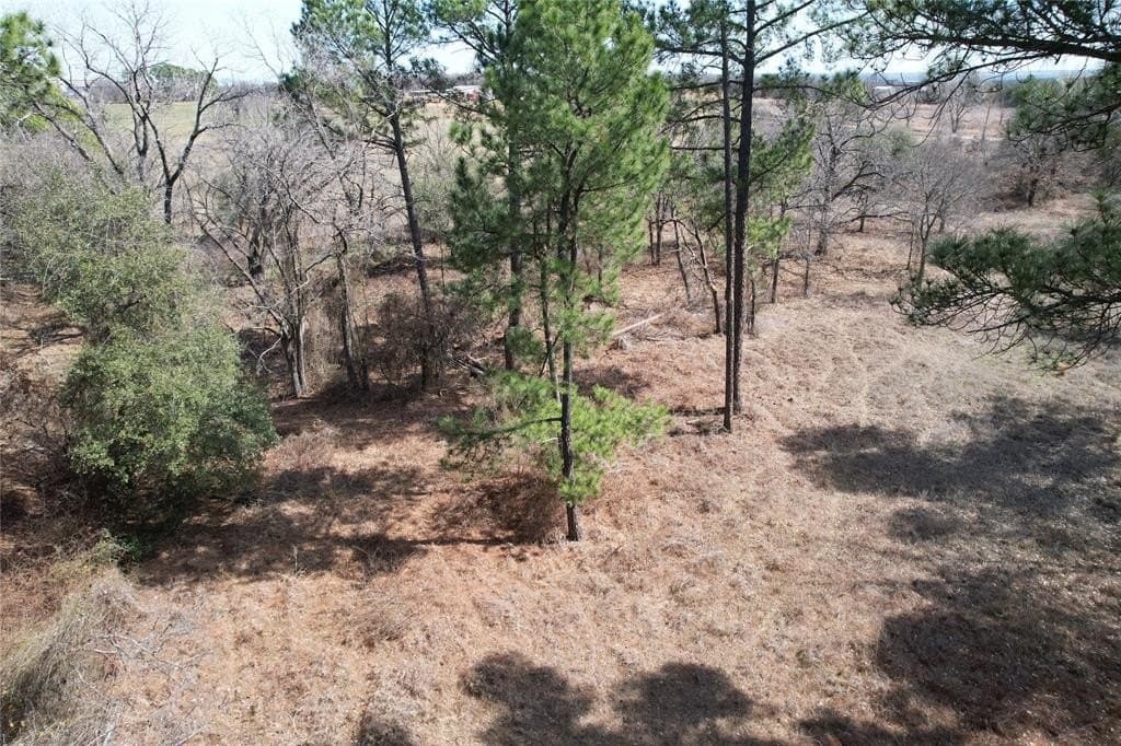 5.01 acres in Hood County - photo 3