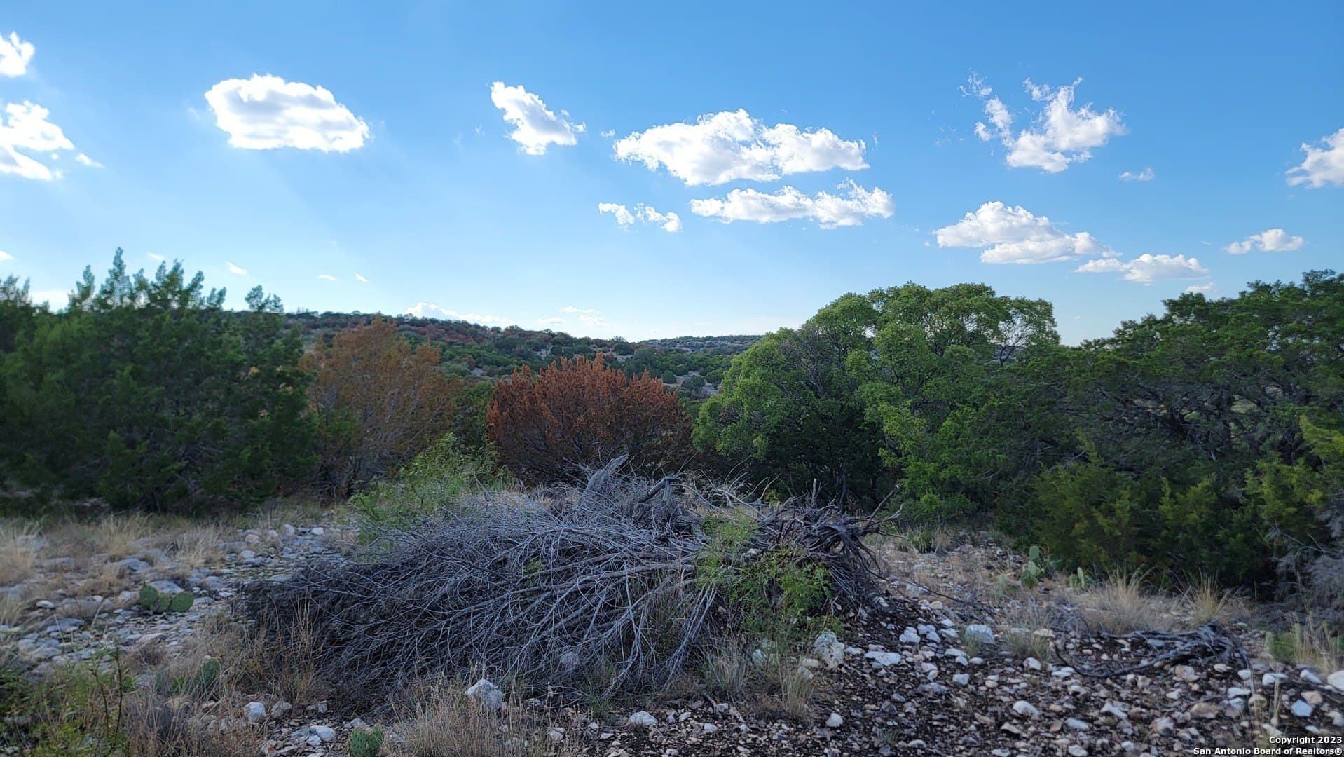 95 acres in Edwards County - photo 13