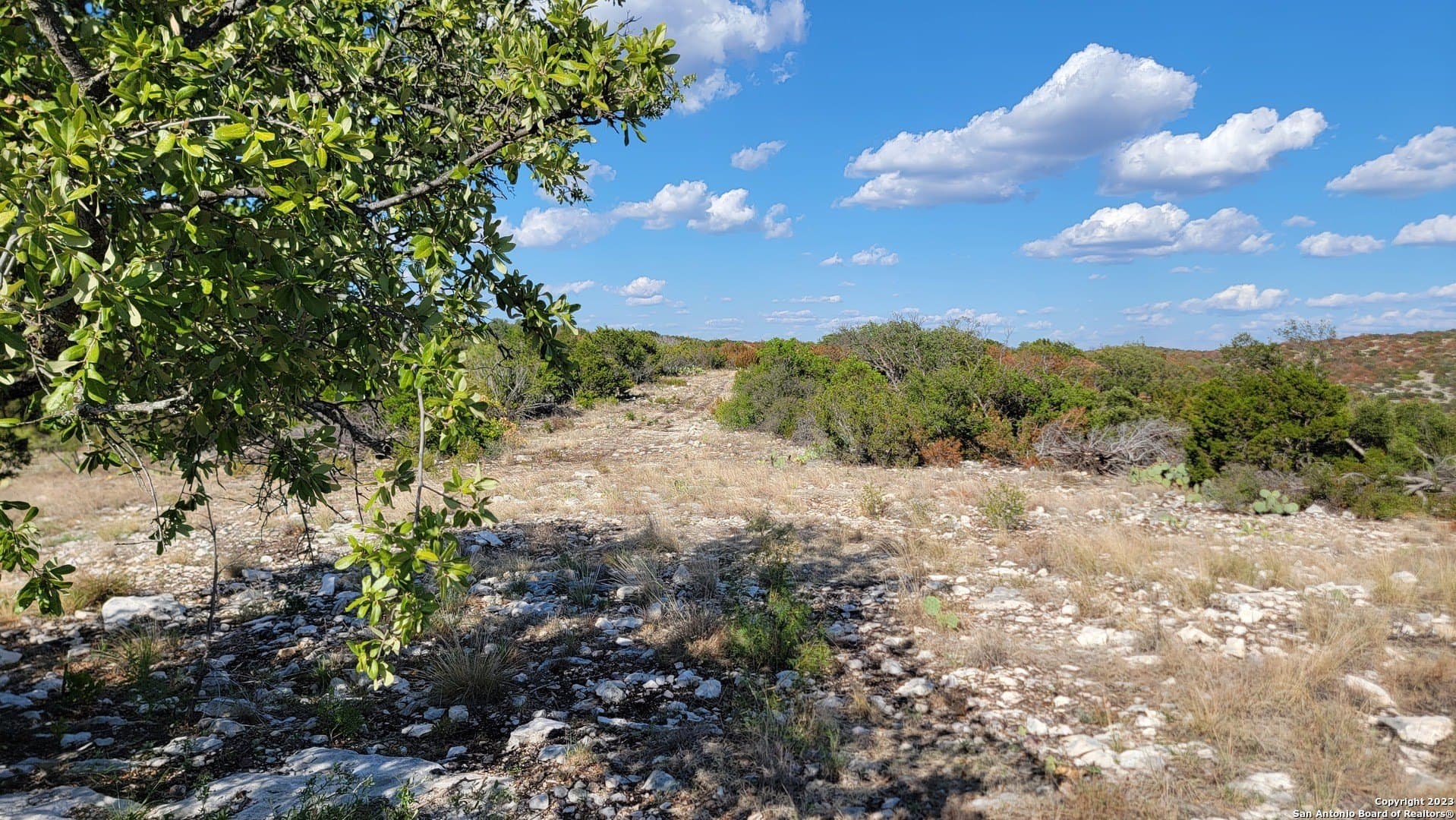 95 acres in Edwards County - photo 7